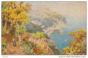 View From Hobby Drive, Clovelly (Devon), England, UK, 1900-1910s