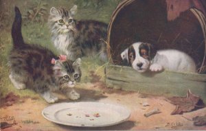 When Cats Are Kittens & Dogs Are Puppies Tucks No 3053 Oilette Postcard