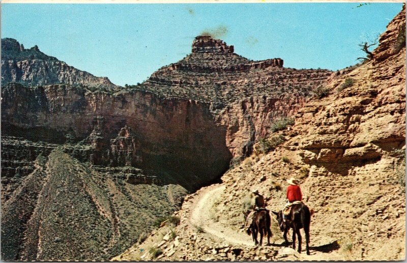 Kaibab Trail Grand Canyon National Park Arizona AZ Postcard PM Cancel WOB Note 
