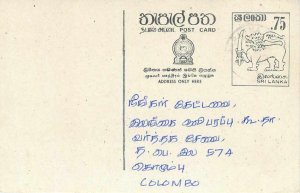 Entier Postal Stationery Postal Sri Lanka Ceylon Lion