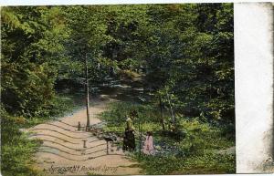 Rockwood Spring - Syracuse NY, New York - pm 1907 - UDB