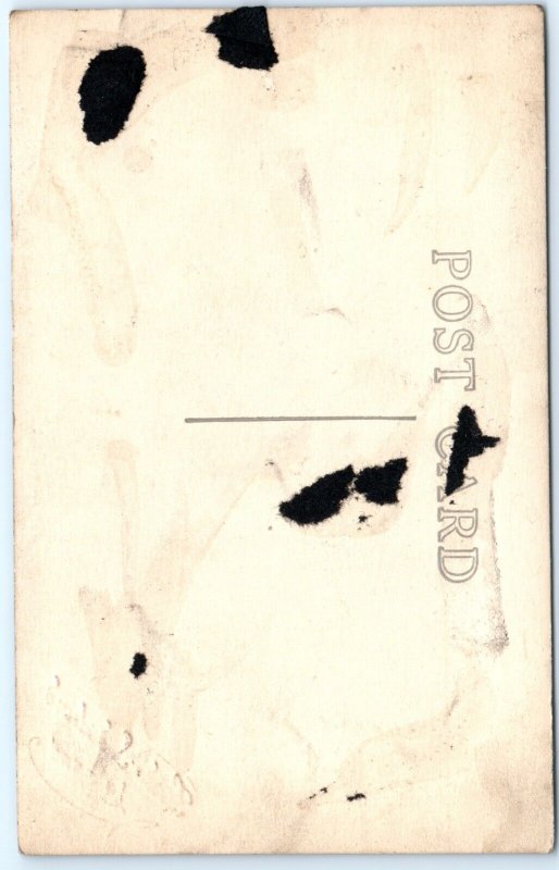 c1910s Leksand Sweden Outdoor House RPPC Traditional Dress Women Real Photo A124