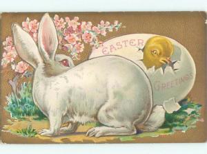 Divided-Back EASTER BUNNY RABBIT SCENE Cute Postcard AA1070