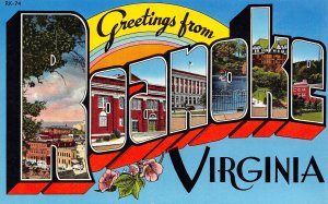 LPD24 Roanoke Virginia Large Letters Postcard Chrome Finish