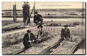 Old Postcard Fishing Reserve d & # 39huitres loaned for & # 39expedition