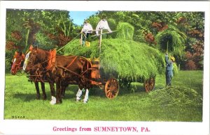 Sumneytown PA Pennsylvania GREETINGS/FARMING Montgomery County ca1920's Postcard