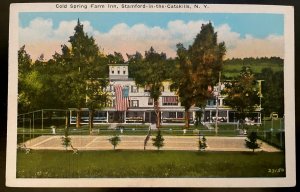 Vintage Postcard 1915-1930 Cold Spring Farm Inn, Stamford-in-the-Catskills, NY