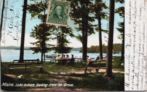 Maine Lake Auburn Looking From The Grove Vintage Postcard C086