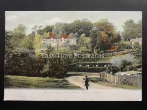 Hampshire NEW FOREST Miss Braddons HOME AT BANK c1904 by F.G.O. Stuart 799