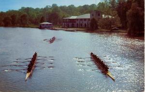 Sculling