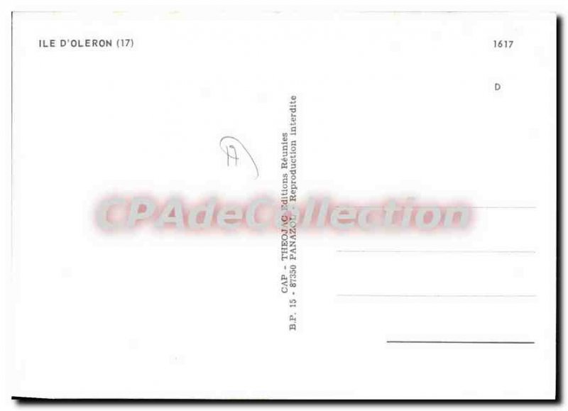 Postcard Modern Ile D'Oleron