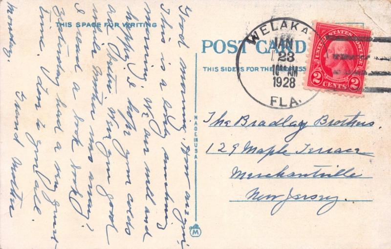 WELAKA FLORIDA POSTMARK BEAUTIFUL BANANA TREE BEARING FRUIT POSTCARD c1928