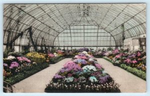 CINCINNATI, Ohio OH ~ Eden Park IRWIN KROHN CONSERVATORY Handcolored  Postcard