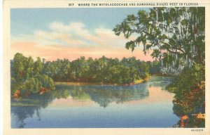 Florida Withlacoochee and Suwannee Rivers, Linen, Unused