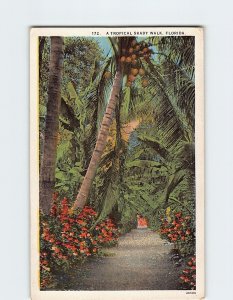 Postcard A Tropical Shady Walk, Florida