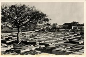 curacao, N.A., WILLEMSTAD, Beth Haim Jewish Cemetery Judaica (1950s) RPPC