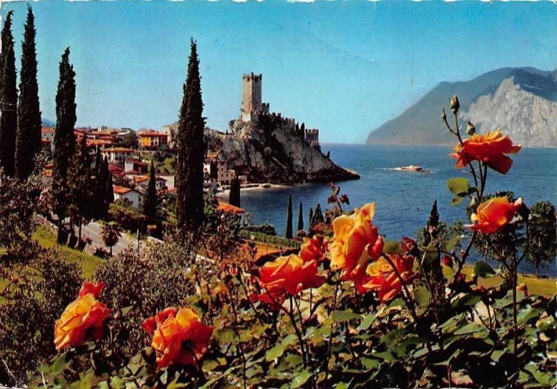 Italy The Garda Lake Malcesine Le Lac De Garde Fleurs Tour Hippostcard