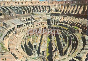 Postcard Modern Roma inside the Colosseum (Detail)