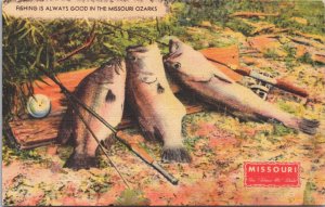 USA Fishing Is Always Good In Missouri Ozarks Linen Postcard 09.29