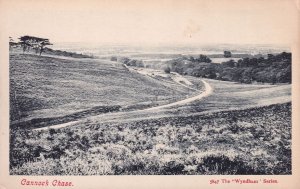 Cannock Chase Staffordshire Wyndham Series Antique Postcard
