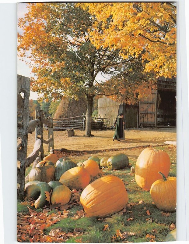 Postcard Autumn harvest at the Pliny Freeman Farm, Old Sturbridge Village, MA