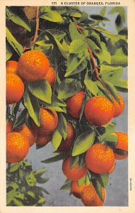 Cluster of Oranges Florida, USA Fruit Assorted 1937 