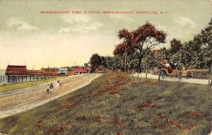 Brooklyn New York Bensonhurst Park And Drive Antique Postcard K101980