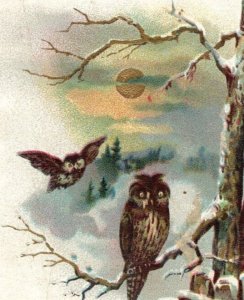 1880s The Lehners Bros. Co. Montague, CA Folder Christmas Card Owls Moon F156