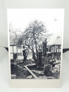 Daily Mail Ideal Home Exhibition Olympia 1932 Workmen Blossoming Tree Postcard