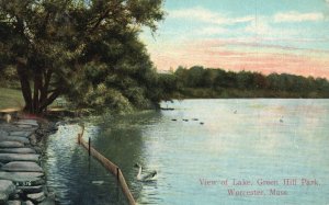 Vintage Postcard 1910's View of Lake Green Hill Park Worcester Massachusetts MA
