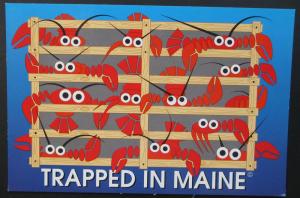 United States - Trapped in Maine