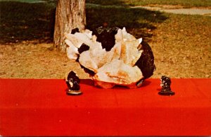 Illinois State Mineral Fluorite