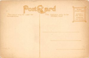 Dayton Ohio c1910 Postcard Roberts Bouldvard Looking North