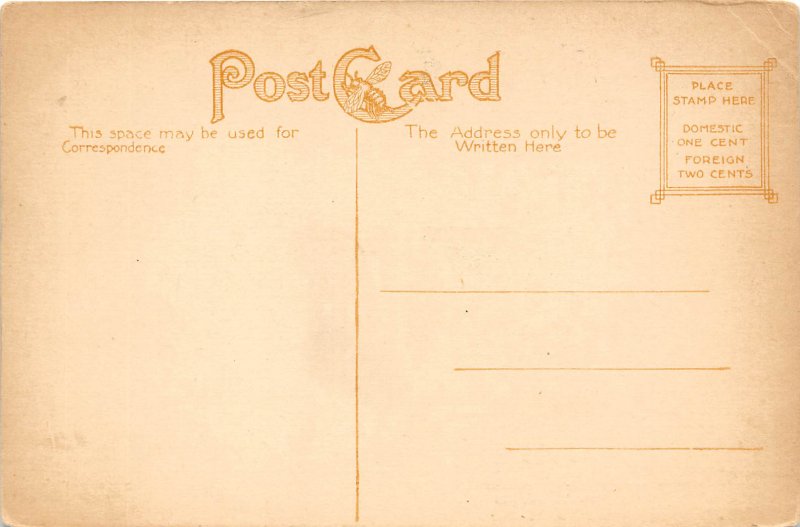 Dayton Ohio c1910 Postcard Roberts Bouldvard Looking North