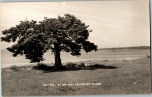 RPPC, Sentinel By the Sea, Searsport ME Vintage Postcard D71