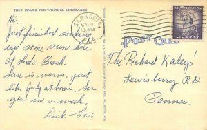 Monkey Jungle Miami FL Evolution: The Monkey's Viewpoint Linen Postcard Used