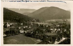 Germany - Herrenalb Schwartzwald. Bird's Eye View - RPPC