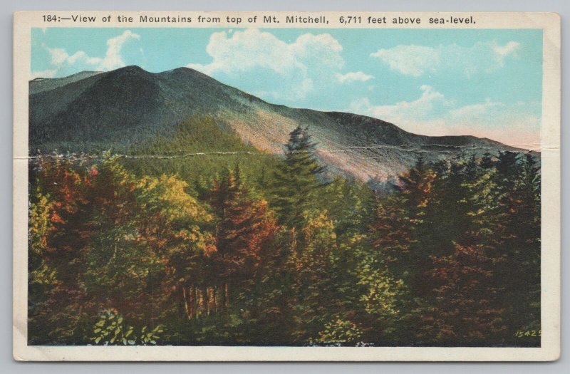 North Carolina~View Of Mountains From Top Of Mt Mitchell~Vintage Postcard 