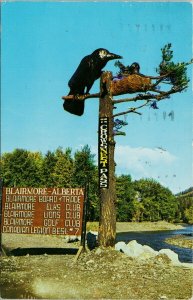 Blairmore Alberta Crow in Tree Crowsnest Pass c1961 Postcard G46