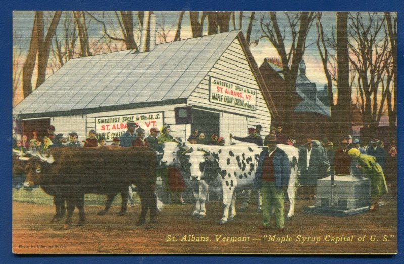 St Albans Vermont vt Maple Syrup Capital of US old postcard