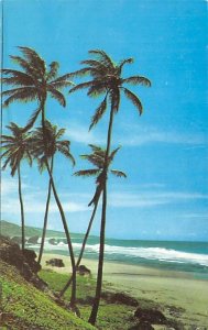 Bathsheba Coast St. Joseph Barbados West Indies 1975 
