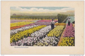 Floral Garden, Bloembollenveldon, North Holland, Netherlands, 10-20s