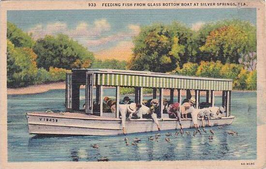 Florida Silver Springs Feeding Fish From Glass Bottom Boat At Silver Springs ...