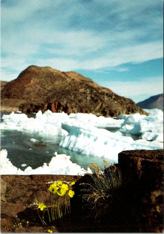 Sungaartorsuit Greenland Postcard unused 1989