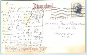 Postcard - African Veldt - Disneyland, Anaheim, California 