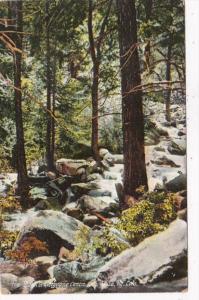 Colorado The Brook In Cheyenne Canyon