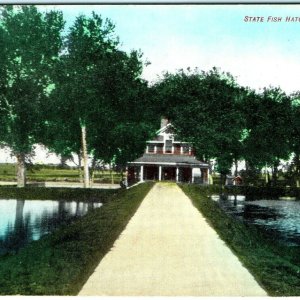 c1909 Pratt, KS State Fish Hatchery Postcard Hand Colored House Kans. Farm A39