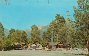 Autos Idylwild California Year Round Resort Royal Pictures 1950s Postcard 10357