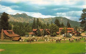 Estes Park Colorado 1950s Postcard Voelkel's Glacier Lodge Motel