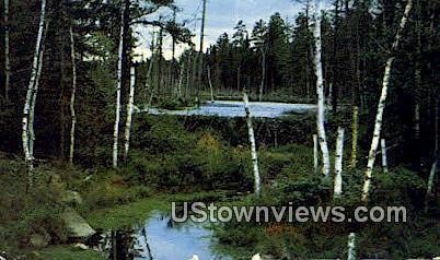 Beaver Dam & Lake North Woods MN 1954